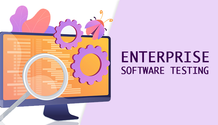 Enterprise Software Testing Services