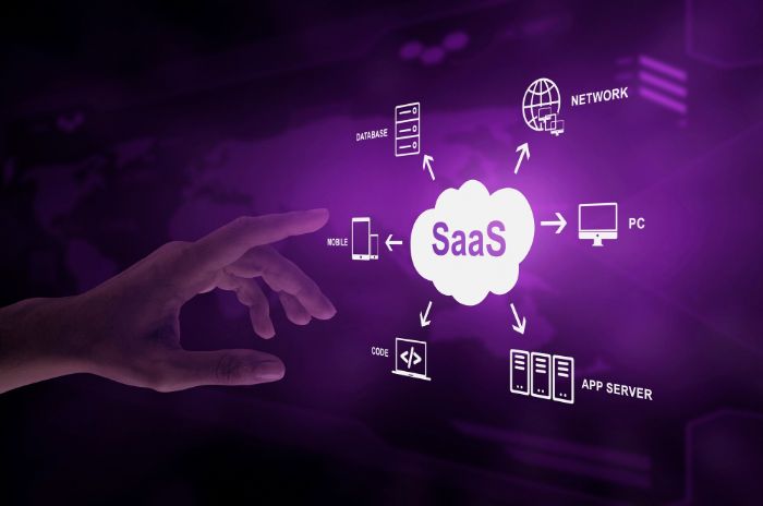 SaaS Software Development: Best Practices and Considerations